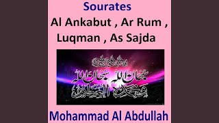 Sourate Luqman (Al Dorai)