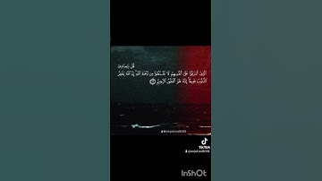 سورة الزمر الشيخ مشاري العفاسي