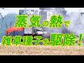蒸気の熱で雑草種子を駆除する
