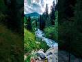 Природа Казахстана #казахстан #nature #алматы #алмарасан #bestvideo #красотаприроды