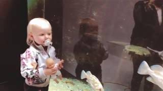 Ellie At Aquarium