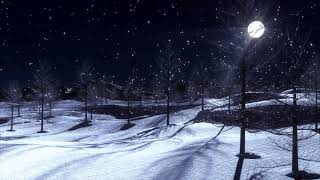 Звук падающего снега, вой волка в ночном лесу  The sound of falling snow, the howl of a wolf.