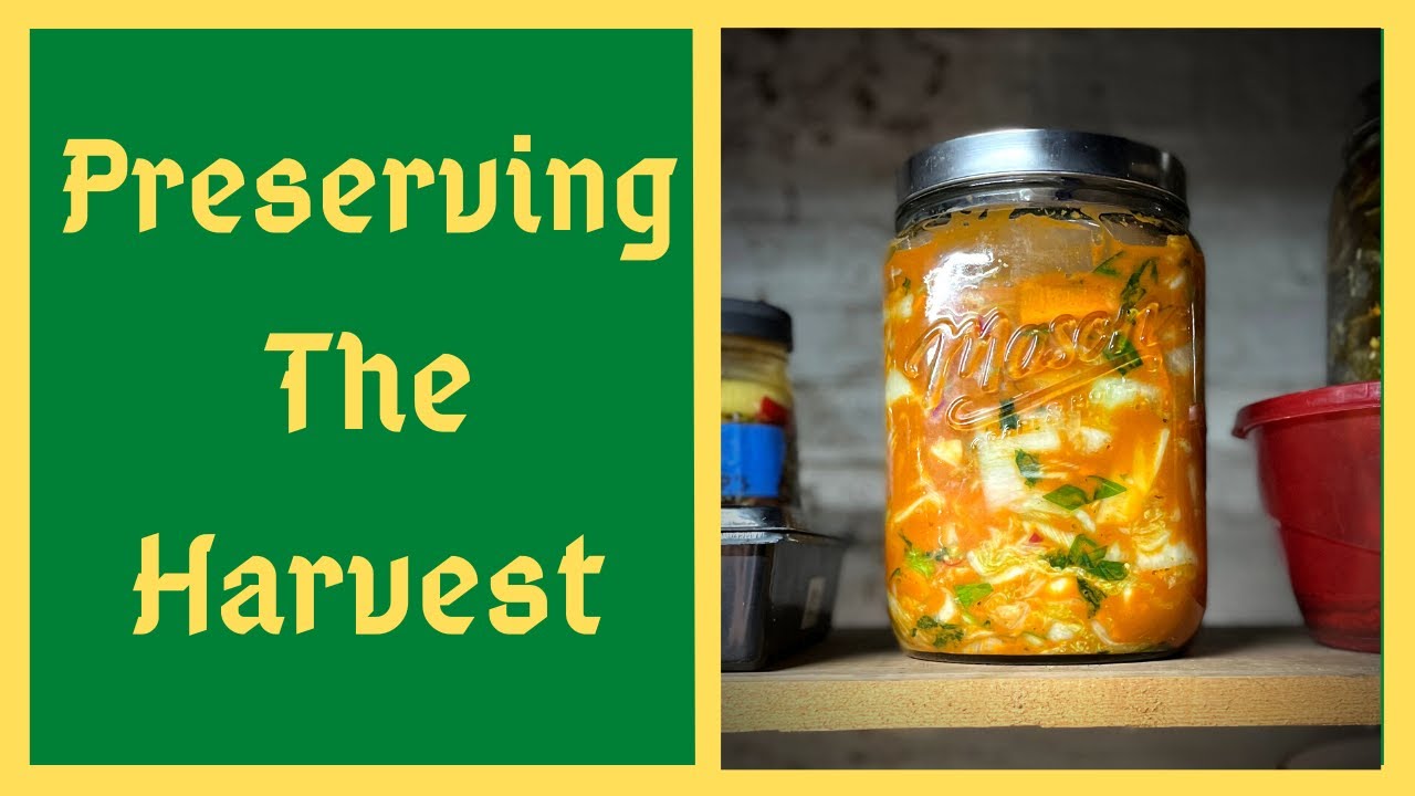 Homemade Kimchi Store All Winter Without Refrigeration YouTube