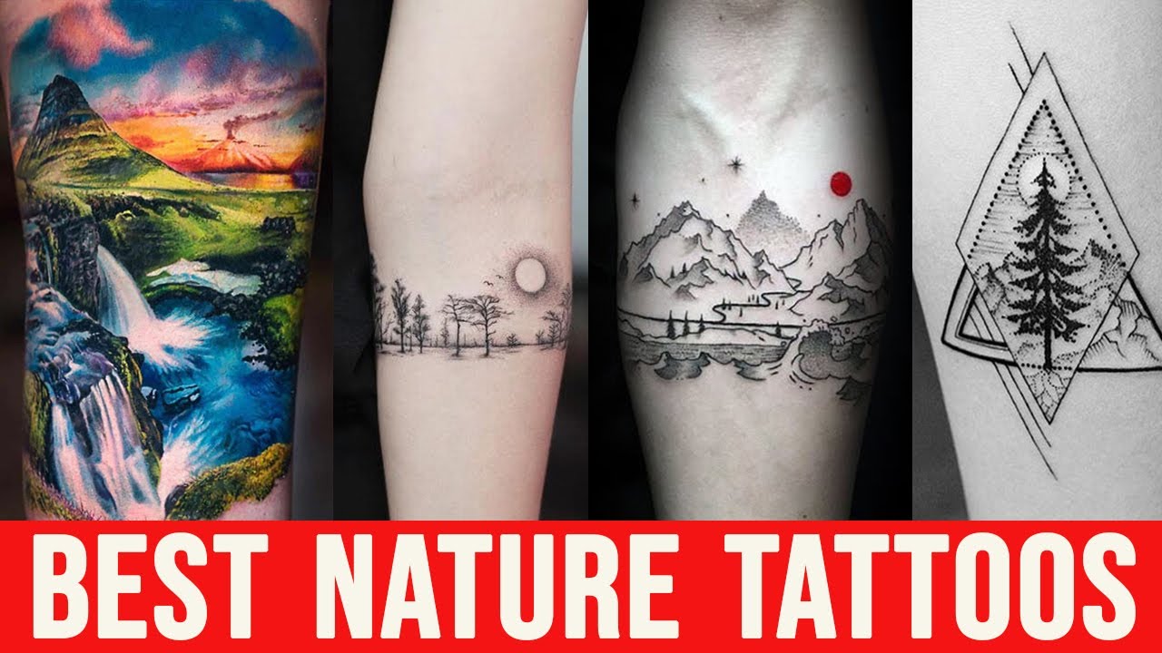 Best Tattoo Artist In Town/ Surrounding area for nature style tattoo?  Looking to get those specific tattoos pictured. : r/asheville