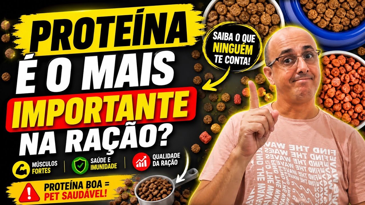 QUANTIDADE DE PROTEÍNA É O MAIS IMPORTANTE NA RAÇÃO? | APRENDA A VENDER ...