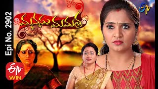 Manasu Mamata | 4th August 2020 | Full Episode No 2902 | ETV Telugu