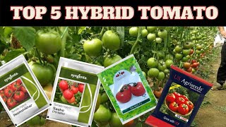 Top 5 Hybrid Tomato Seeds For Rainy Season screenshot 1