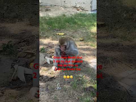 Kabke Bhichde Ajjj Kahan Ake Mile Emotional Viral