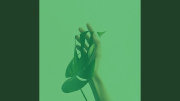 Mind-blowing Backdrops for After Hours Work