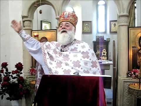 Мama Aleksandre Bolkvadze-ტროას ცხენები, ანუ რა მდგომარეობაა დღეს საქართველოში