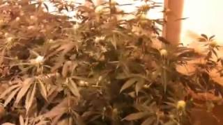 OMMP 2014 Indoor update 3/7