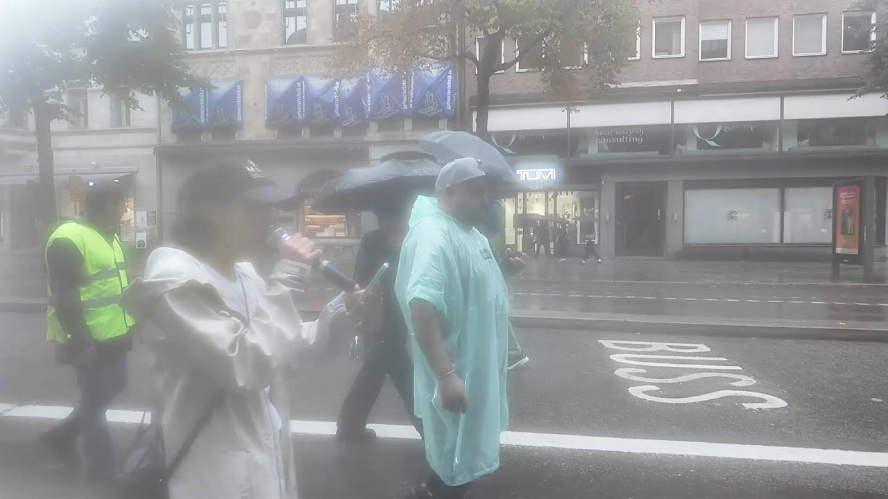Demonstration för Irans frihet