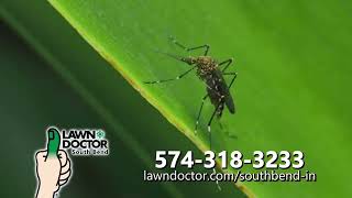 Mosquito and Tick Control by Lawn Doctor of South Bend