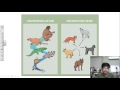 Micro Evolution Versus Macro Evolution: Key Concepts and Examples