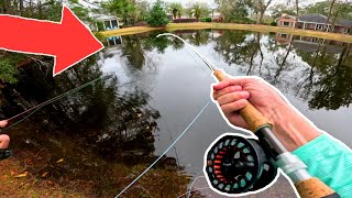 Fly Fishing for BASS in LOADED PONDS! | Bass Fly Fishing