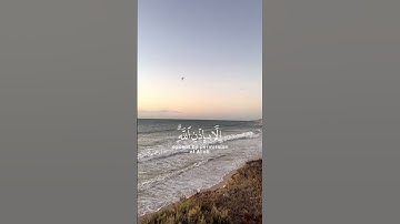الآية ١١ من سورة التغابن بصوت القارئ رعد الكردي