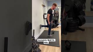 Isometric Wall Single Leg RDL #physicaltherapy #deadlift #mobility #shorts