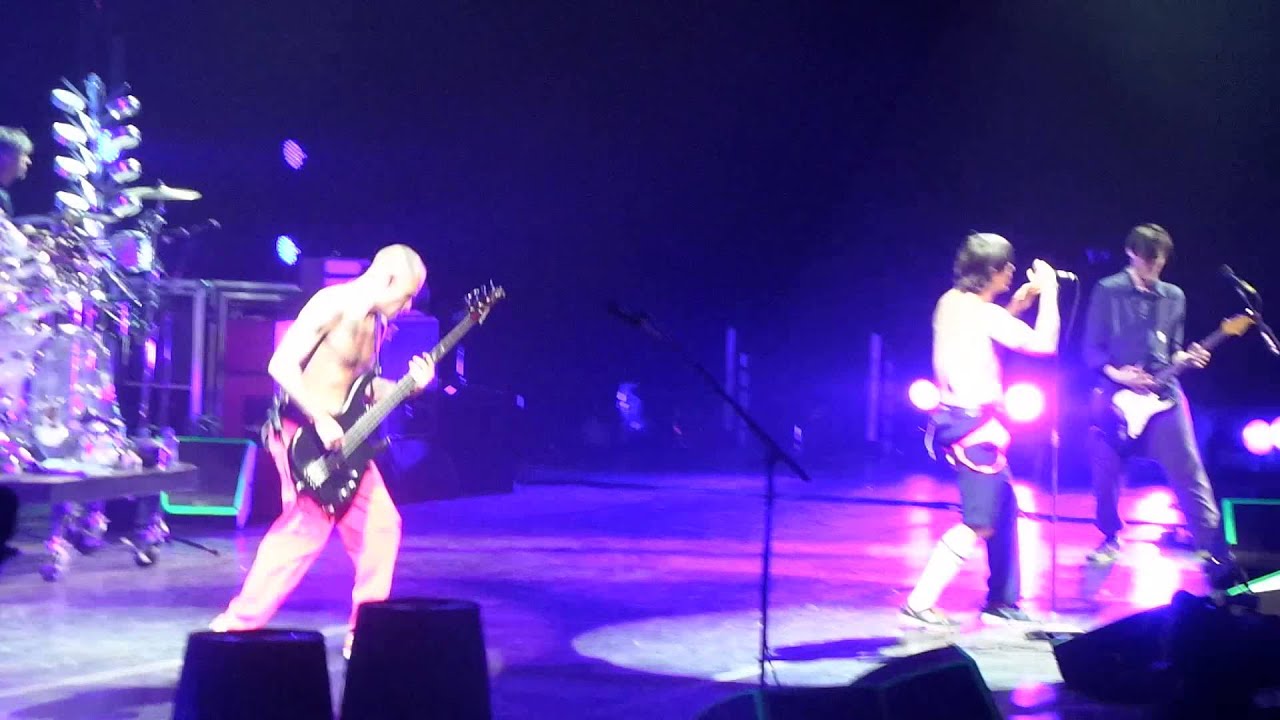 The Adventues of Rain Dance Maggie LIVE The Red Hot Chili Peppers 2-1-14 The Barclays - YouTube Cool Hand 62