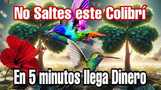 Te llegara dinero de todas partes ACTIVA El colibrí de la Abundancia - PROSPERIDAD Y RIQUEZA COLIBRI by Vida y Motivación 6,158 views 4 days ago 5 hours, 15 minutes