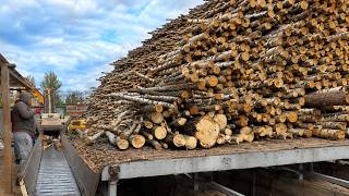 Mega Shredding Tons Of Big Logs
