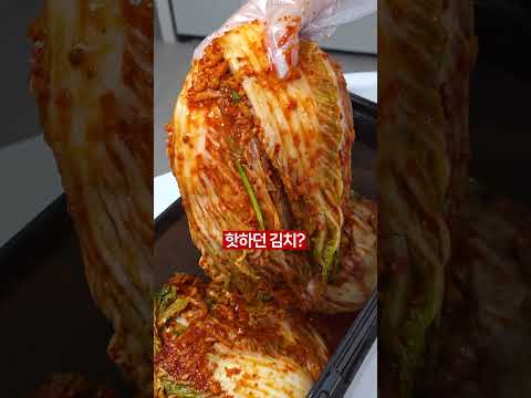 절대 실패없는 김치 BEST4 thumbnail