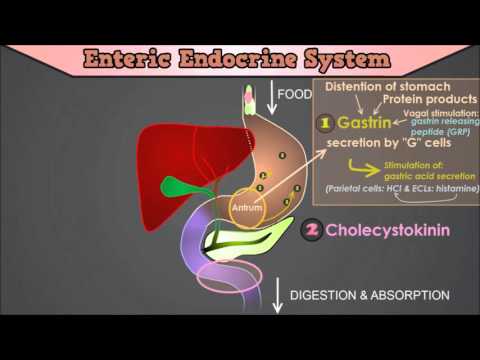 Video: Difference Between Secretin And Cholecystokinin