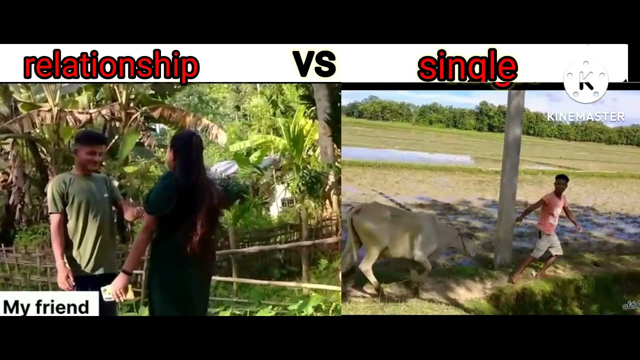 relationship life vs single life # best memes