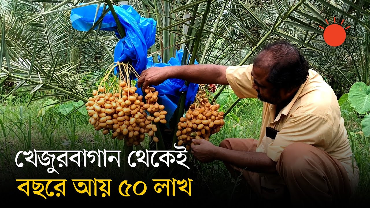 যাঁর হাত ধরে বাংলাদেশে শুরু হয়েছিল সৌদি আরবের খেজুরের চাষ | Saudi Date Farm in Bangladesh