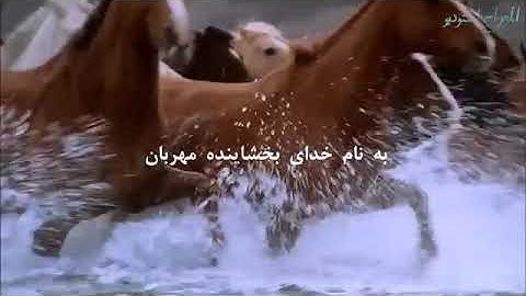 تلاوت زیبای عمر هشام العربی - سوره عادیات با ترجمه فارسی