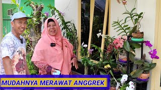 ANGGREK BULAN TERUS BERBUNGA NON STOP SELAMA 2 TAHUN.