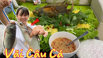 Láng Le Bầu Cò, Câu Cá Tếu Vãi, Chiên Giòn Luôn