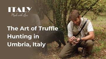 Truffle Hunters | Umbria, Italy | Italy Made With Love