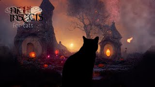 🐈‍⬛🎃Soft Piano & Night Insects for Cats 🐈‍⬛🎃 by Sound Sanctuary for Pets 677 views 8 months ago 1 hour
