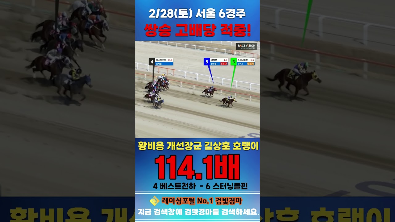 [서울 경마] 2월 28일 토요 6경주 황비용 개선장군 김상훈 호랭이 전문위원 쌍승 고배당 적중 #한국마사회 #horse #경마 #automobile #하이라이트 #sports