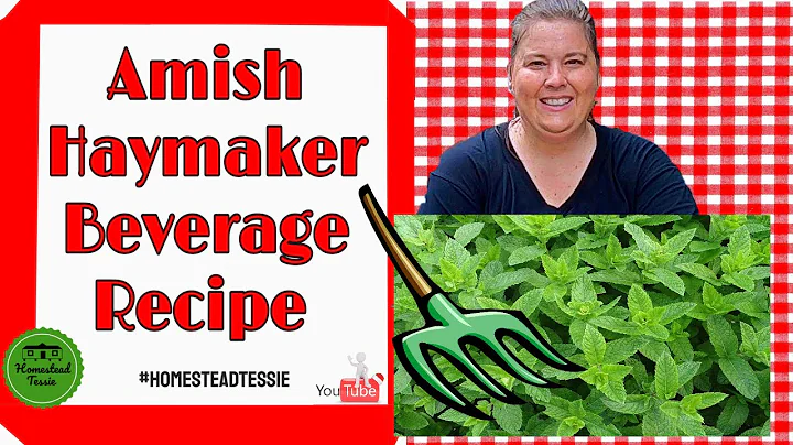 Amish Haymakers Beverage  Recipe