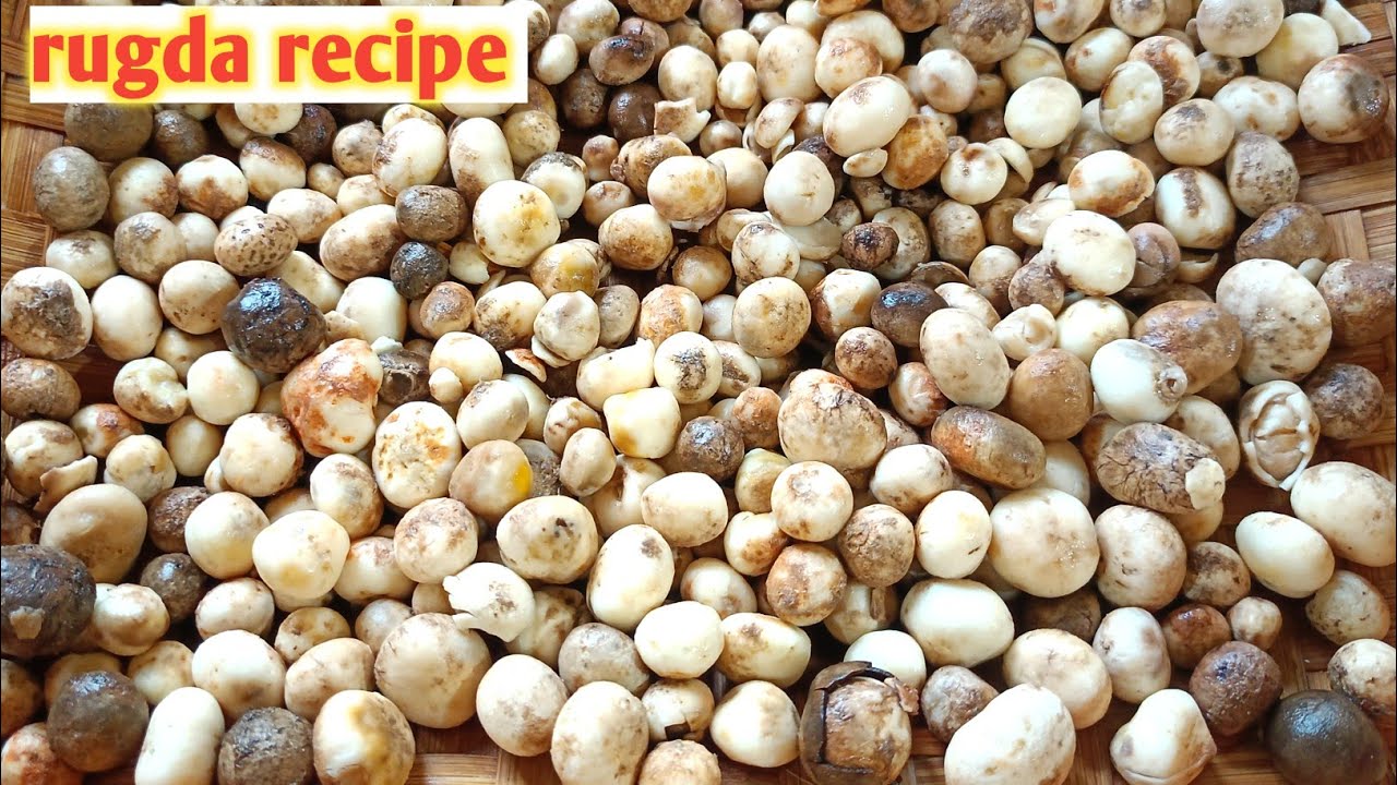 Maguda Rugda Rugda recipe| rugda ki sabji| putu recipe|desi mushroom|gol mushroom ...
