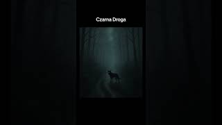 #cienienocy #urbanlegend #mysterytrail #creepyforest #zaginieni #czarnypies #shorts #youtubeshorts