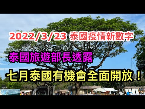 2022/3/23 🌞【7翻身？】~泰國旅遊部長表示，潑水節後若然疫情依然穩定，計劃6月取消全部遊客入境限制？！~✹香港#移居泰國 旅遊達人Roger胡慧冲 泰國疫情實地報告