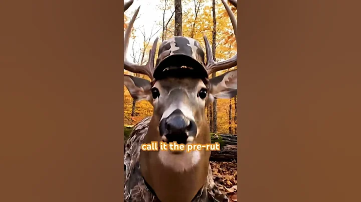 Things get wild either way! #ai #deerseason #halloween #hunting #deer #funny #shorts