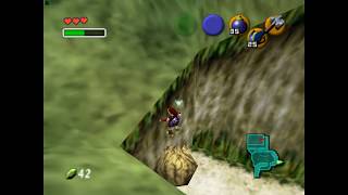 LZ and Adult in Hyrule Castle