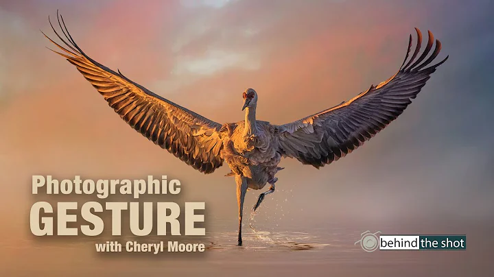 Gesture in Photography with Cheryl Moore