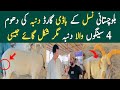 Karachi Cow Mandi 2025 | Most Expensive Cattle Market | Qurbani 2025 |ijpoint pakistan