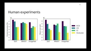 Interpreting Deep Neural Networks --- Bin Yu