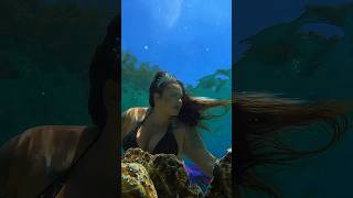 A secret 🤫 mermaid meeting #mermaidlife #underwater #mermaid #mertailor #plussizemodel #florida Profile