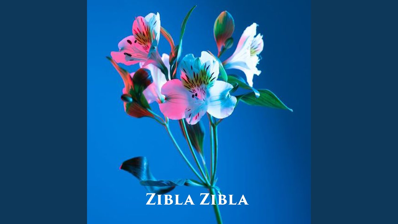 Zibla Zibla