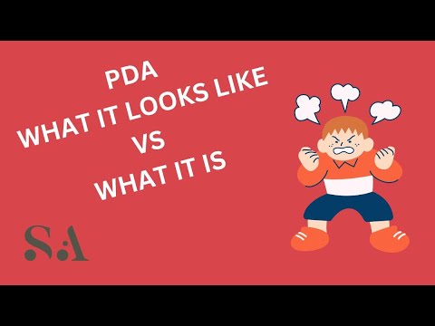 PDA What It Looks Like VS What It Is 