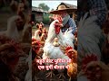 बहुत बेस्टमुर्गी आई थी एक मुर्गी बीमार थी किसी ने लाइक फॉलो शेयर नहींकिया और सब्सक्राइब कमेंट करदेना