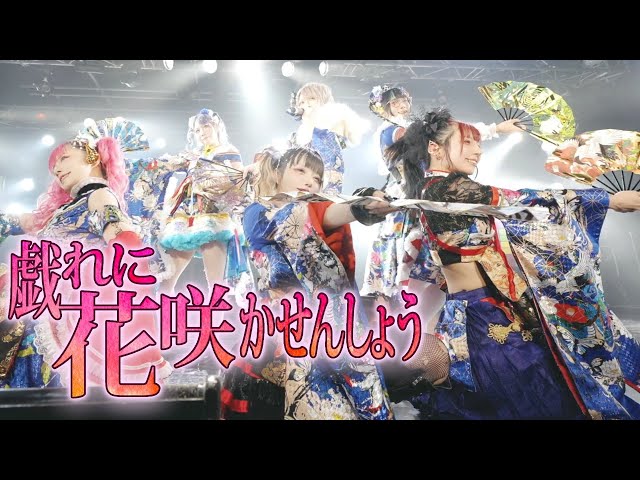 竜宮舞をんな 花魁俎板帯『黒地穂華鮮最咲結』 sddefault.jpg