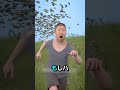 ハチはどうやって蜂蜜を作るのか ?