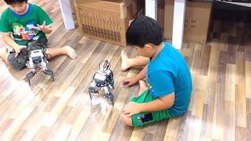 Jay Robotics - a 3 Legged Robot
